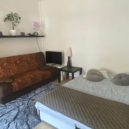Komfortowy Apartament Na Florianskiej, Park Praski, Dw Wilenski,W Odleglosci Spaceru Od Starego Miasta, Milo Widziec Gosci Ze Zwierzetami Varsavia Esterno foto